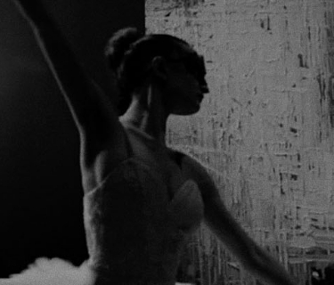 Redondo y ovalado: banner_a_9 2