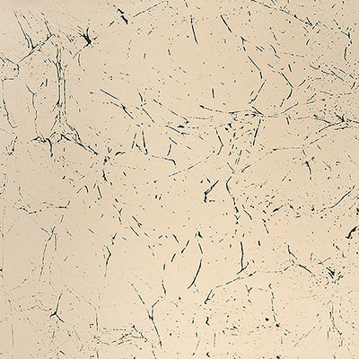 Black Sea Silver Leaf