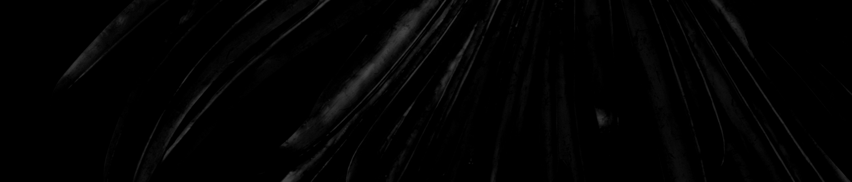 Christopher Guy: Finish